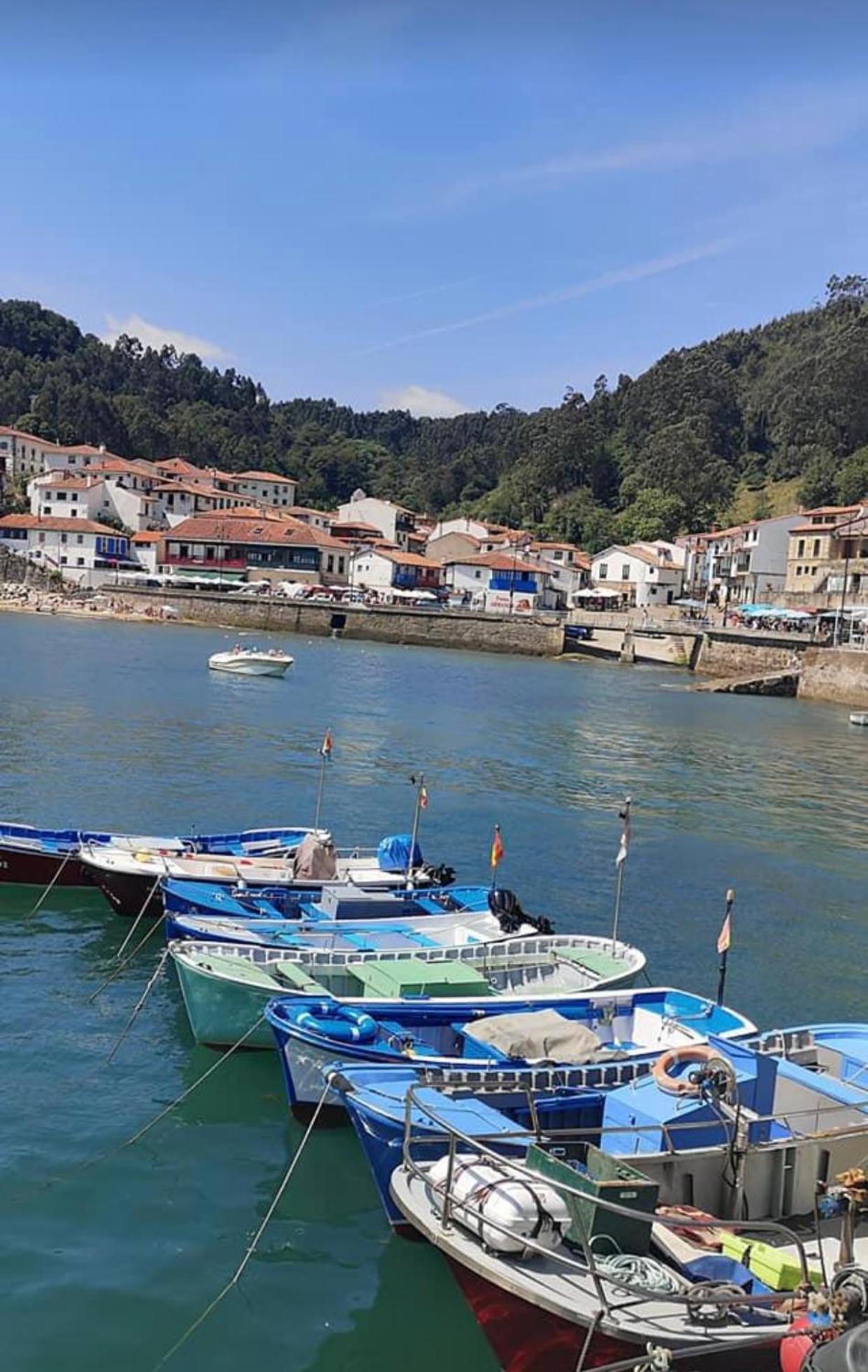 Apartamento Turistico Nanielles Sella Playa - Vut 3050As Ribadesella Zewnętrze zdjęcie